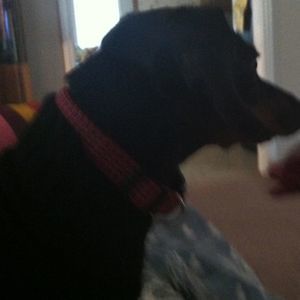 Meet your Posher, Ann